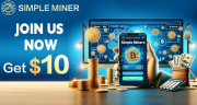 Simple Miner - a new model for earning integrated passive income