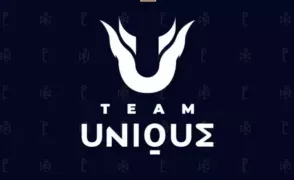 Team Unique по Dota 2 продана известному рэперу