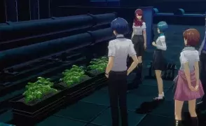 Persona 3 Reload: Полное руководство по садоводству