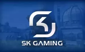 SK Gaming год не платила зарплату персоналу и тренерам