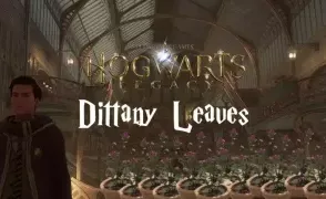 Hogwarts Legacy: Где найти листья Диттани